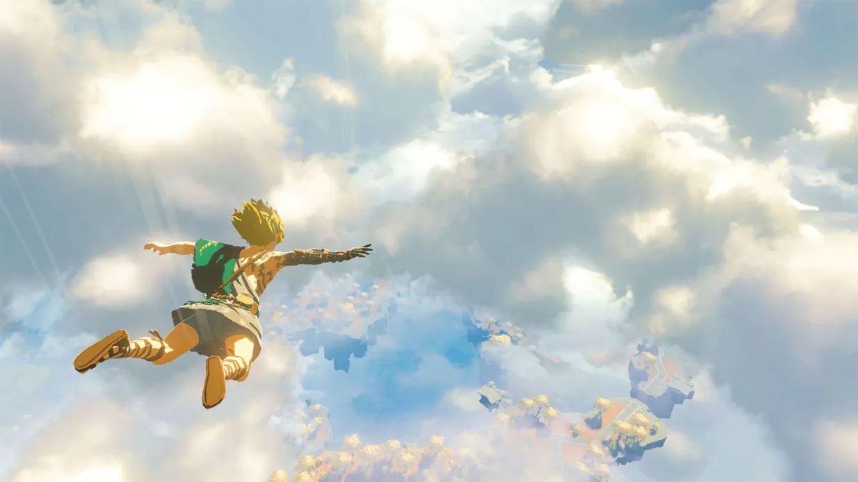 Link Flying
